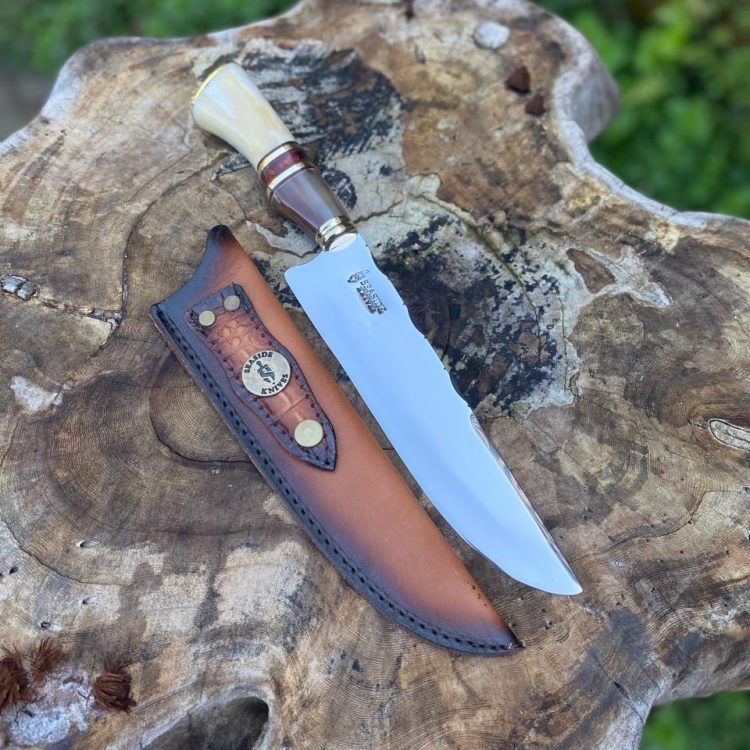 WhatsApp Image 2024-03-14 at 18.21.04 (1)